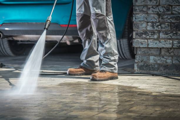 Best Dumpster Area Cleaning  in Dorothy, NJ