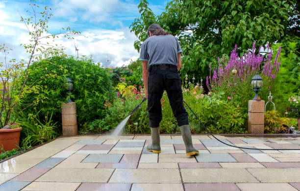 Best Sidewalk and Walkway Cleaning  in Dorothy, NJ