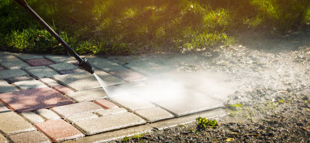 Best Roof Washing  in Dorothy, NJ